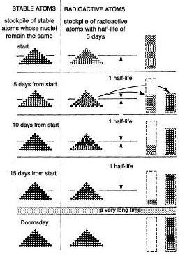 Stable atoms and Radioactive atoms
